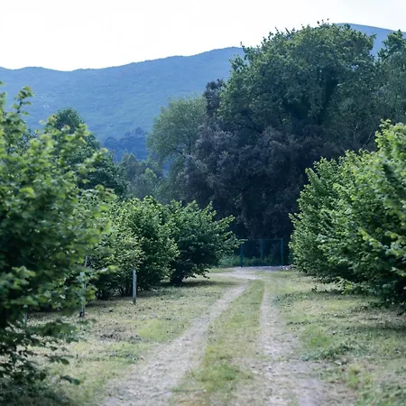 Semesterbostad El Habar De Pria La Pesa